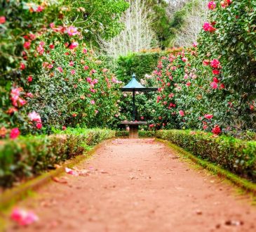 Comment fabriquer une bordure de jardin ?