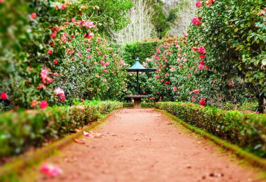 Comment fabriquer une bordure de jardin ?