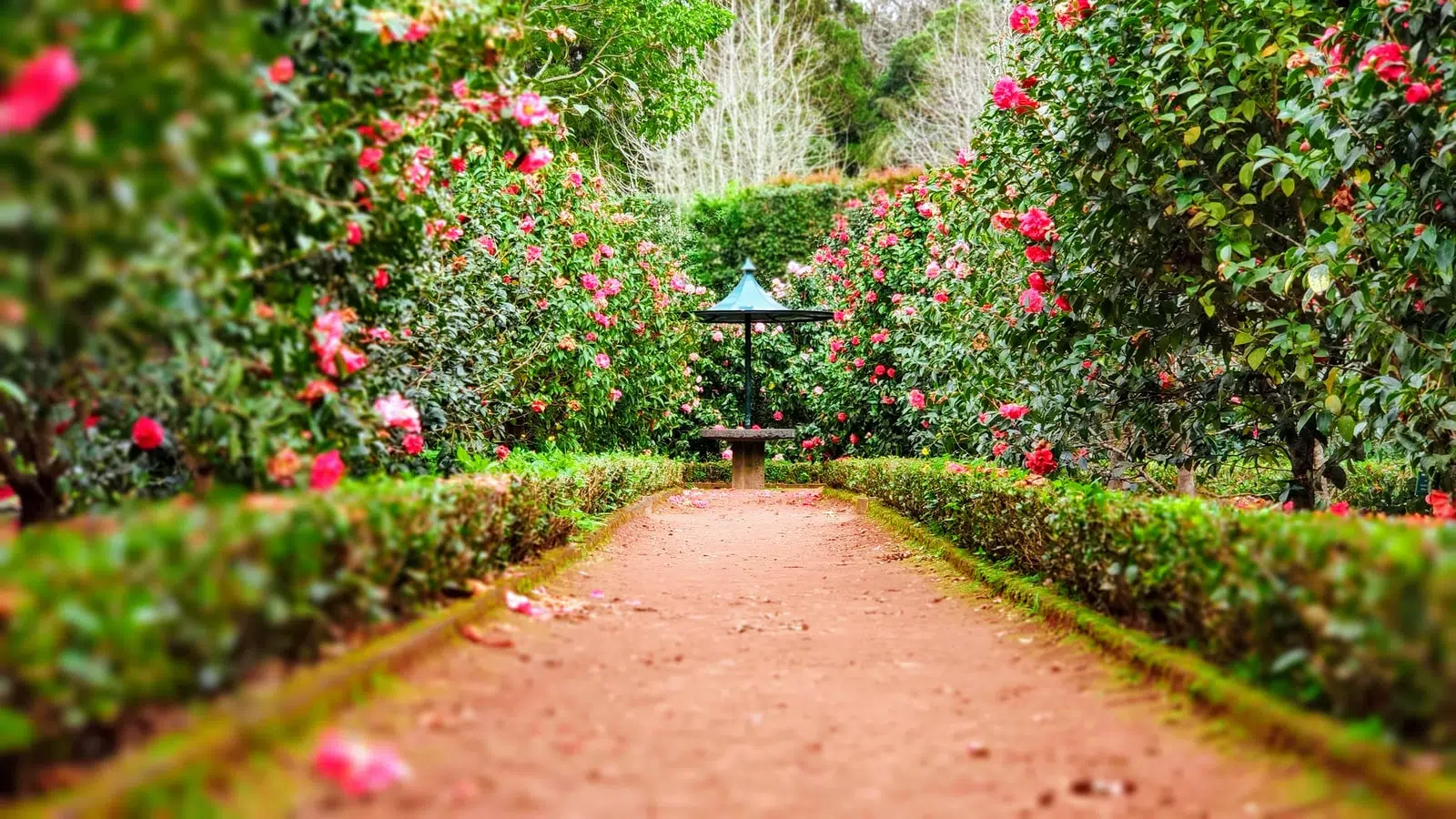 Comment fabriquer une bordure de jardin ?