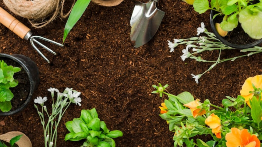 Outils de jardinage adaptés à un petit espace vert