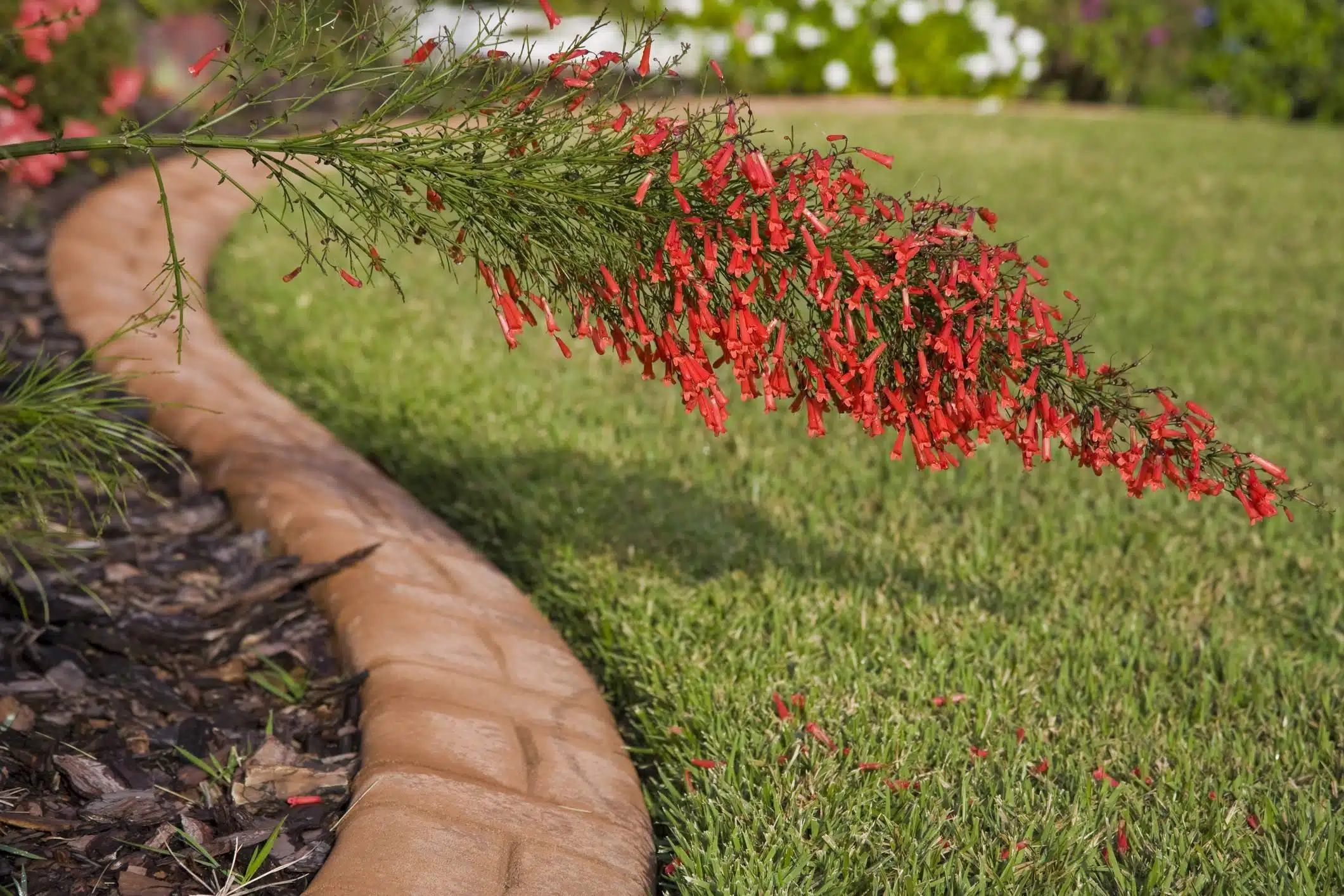 Comment aménager les bordures du jardin1