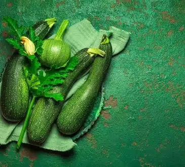 Comment bien arroser ses courgettes pour un jardin vivant et productif