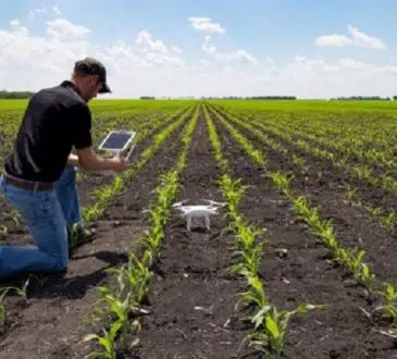 Comment trouver du travail dans le secteur agricole