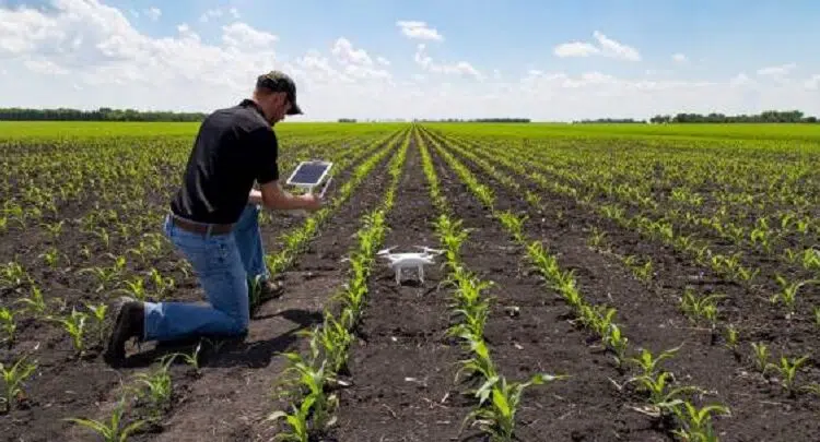 Comment trouver du travail dans le secteur agricole