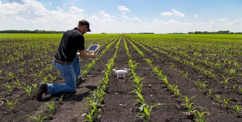 Comment trouver du travail dans le secteur agricole