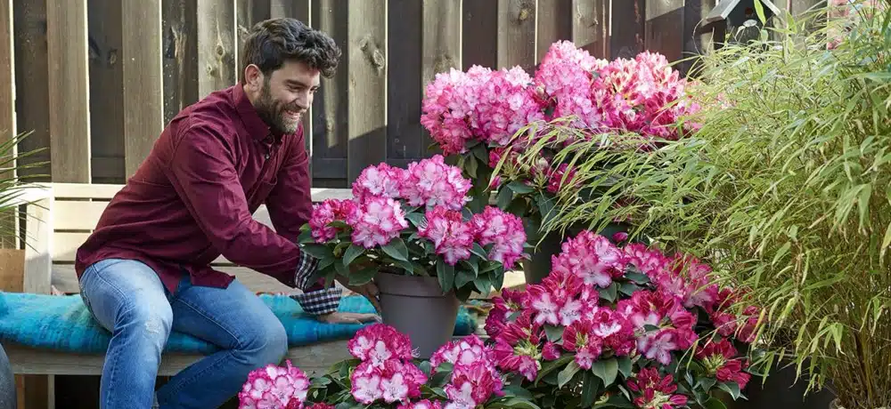 Conseils pour préserver la santé de vos plantes en hiver