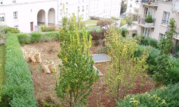 Haies jardin