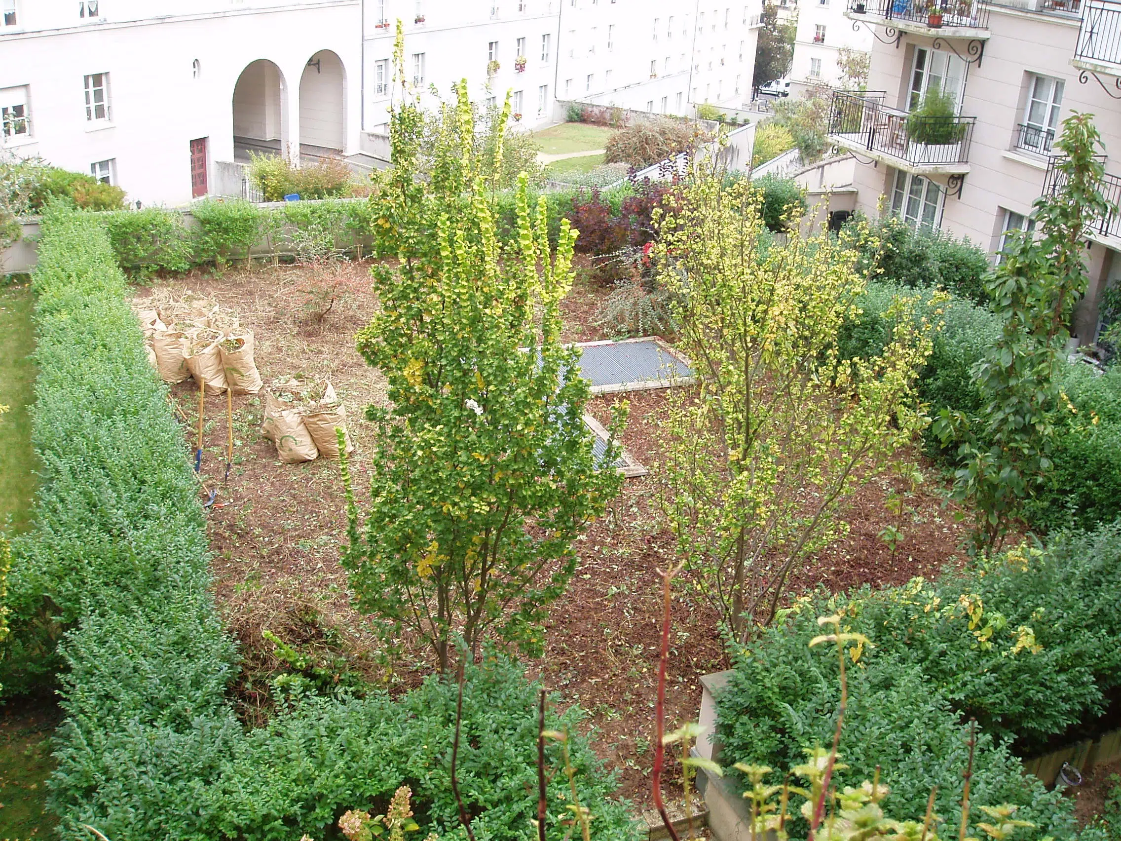 Haies jardin