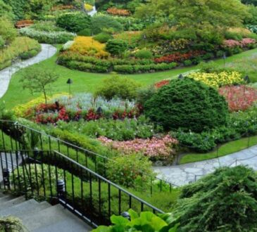 Jardin