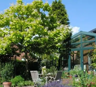 Jardin avec des un arbre et des haies