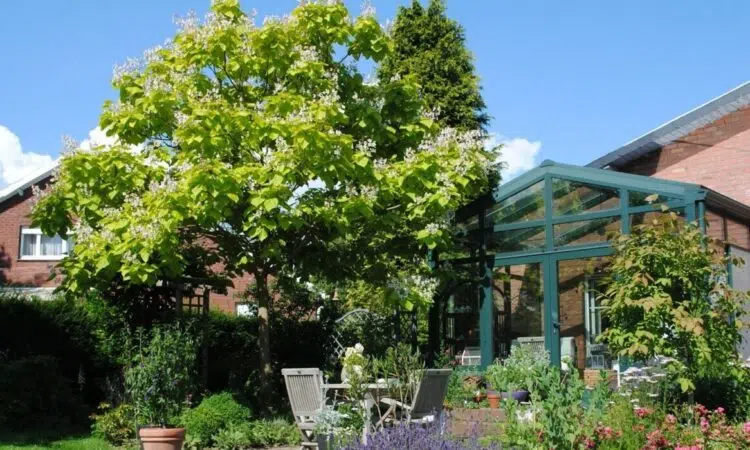 Jardin avec des un arbre et des haies