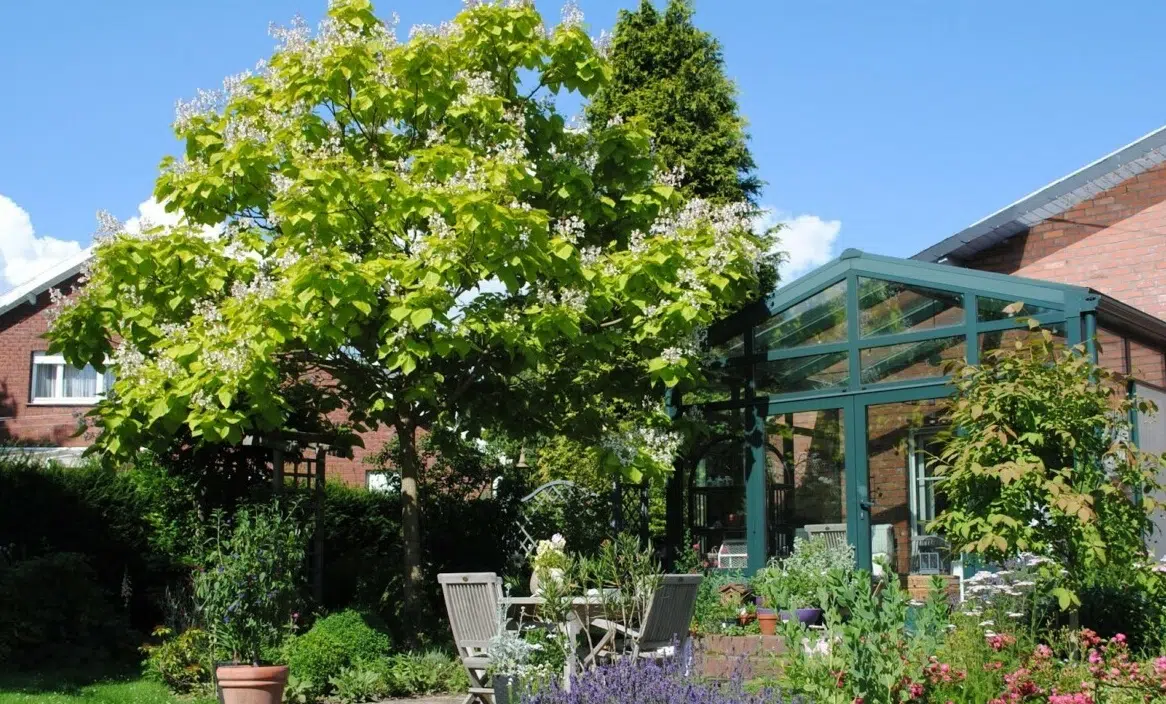 Jardin avec des un arbre et des haies