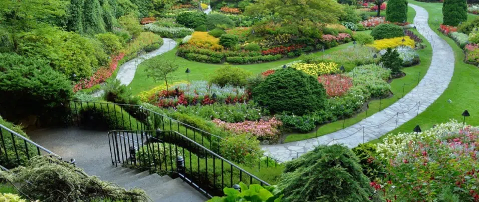 Jardin