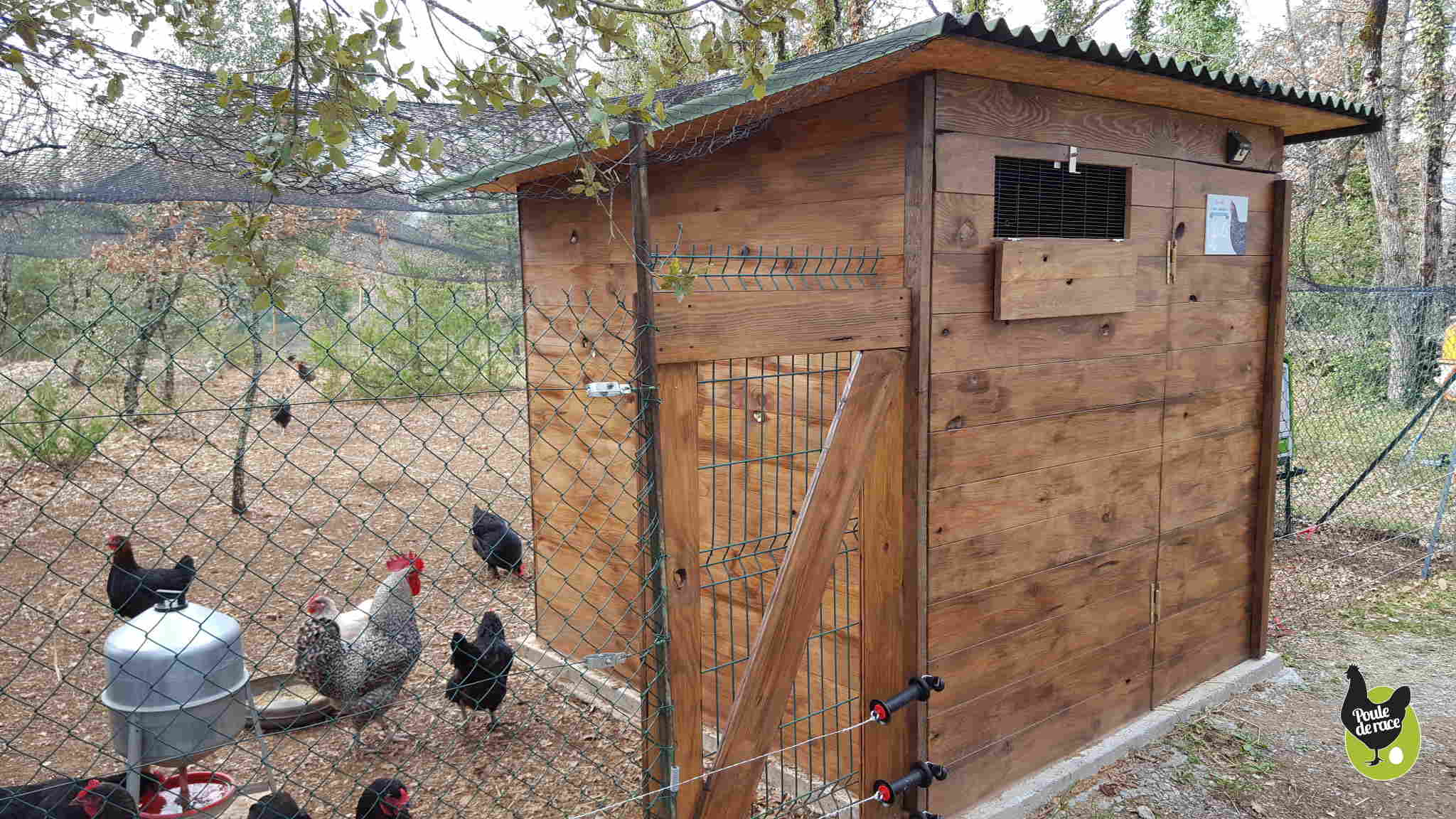 Envie d'un poulailler dans votre jardin ? Découvrez les règles en la ...