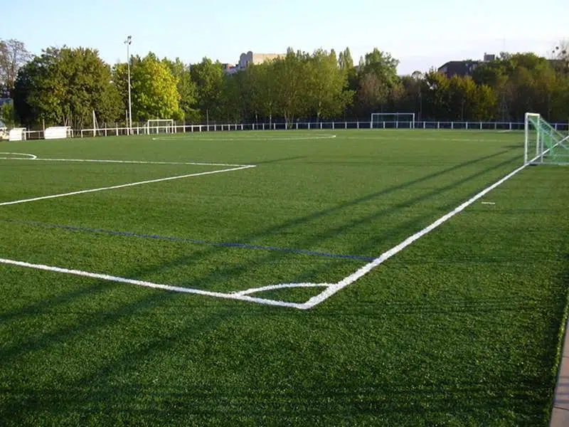 Tout savoir sur le gazon pour terrain de sport