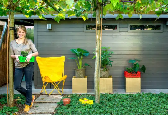 abri de jardin