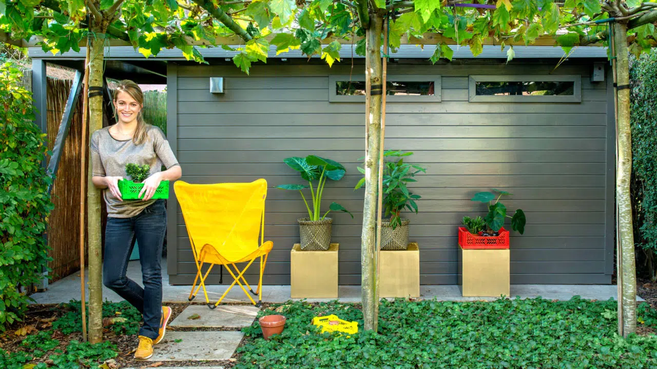 abri de jardin