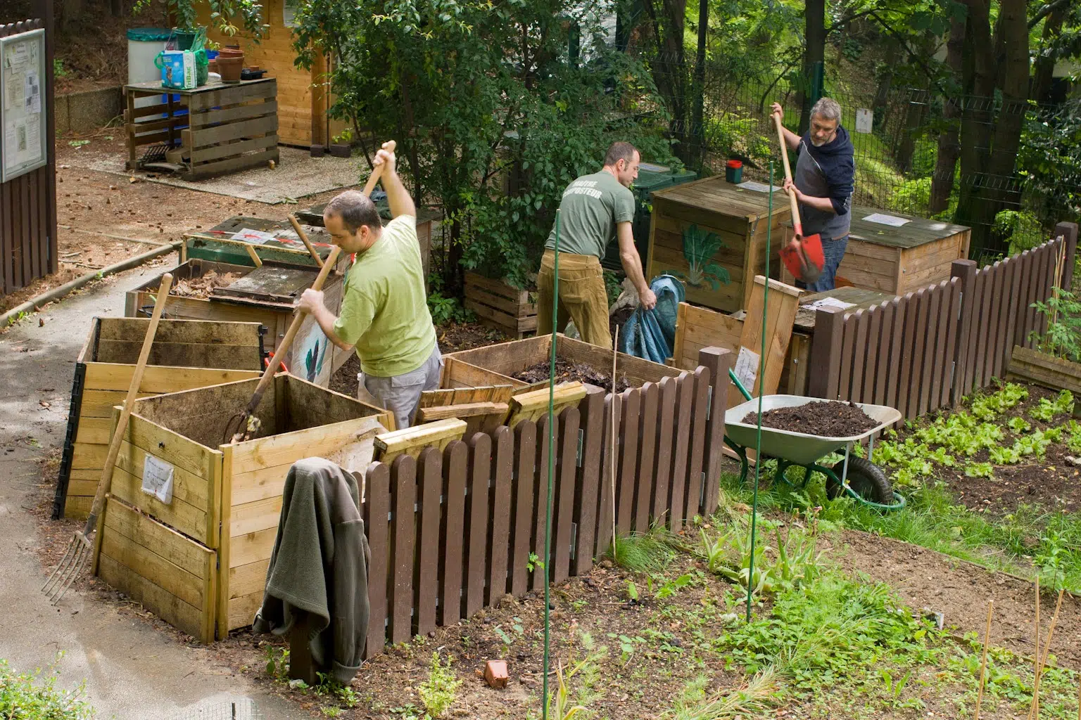 compost