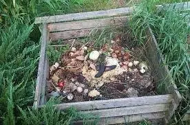 compost