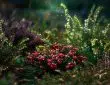 Citerne jardin