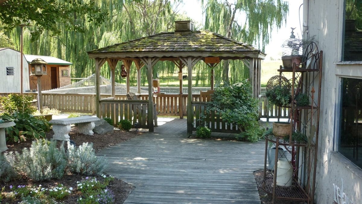 Jardin d'une maison