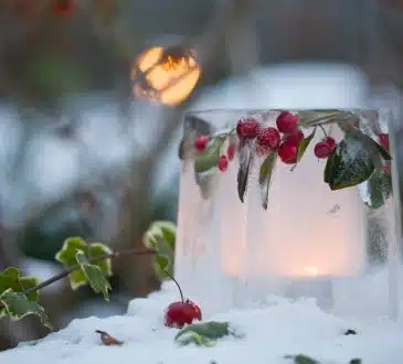 Avoir un beau jardin en hiver : toutes nos astuces