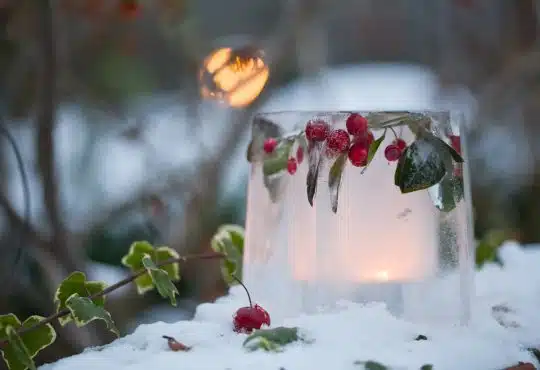 Avoir un beau jardin en hiver : toutes nos astuces