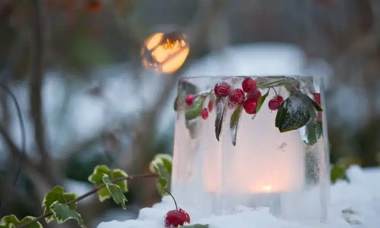 Avoir un beau jardin en hiver : toutes nos astuces