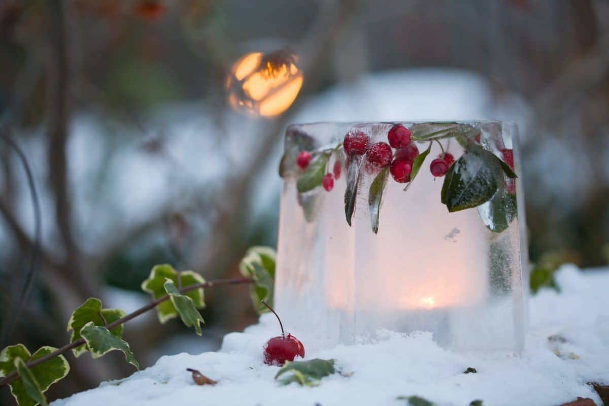 Avoir un beau jardin en hiver : toutes nos astuces