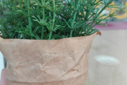 Le sac bac de jardin : une révolution pour cultiver en ville