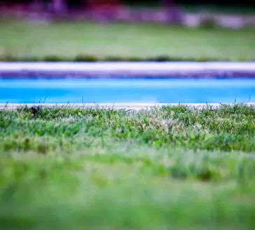 piscine jardin