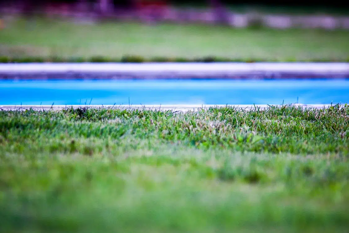 piscine jardin