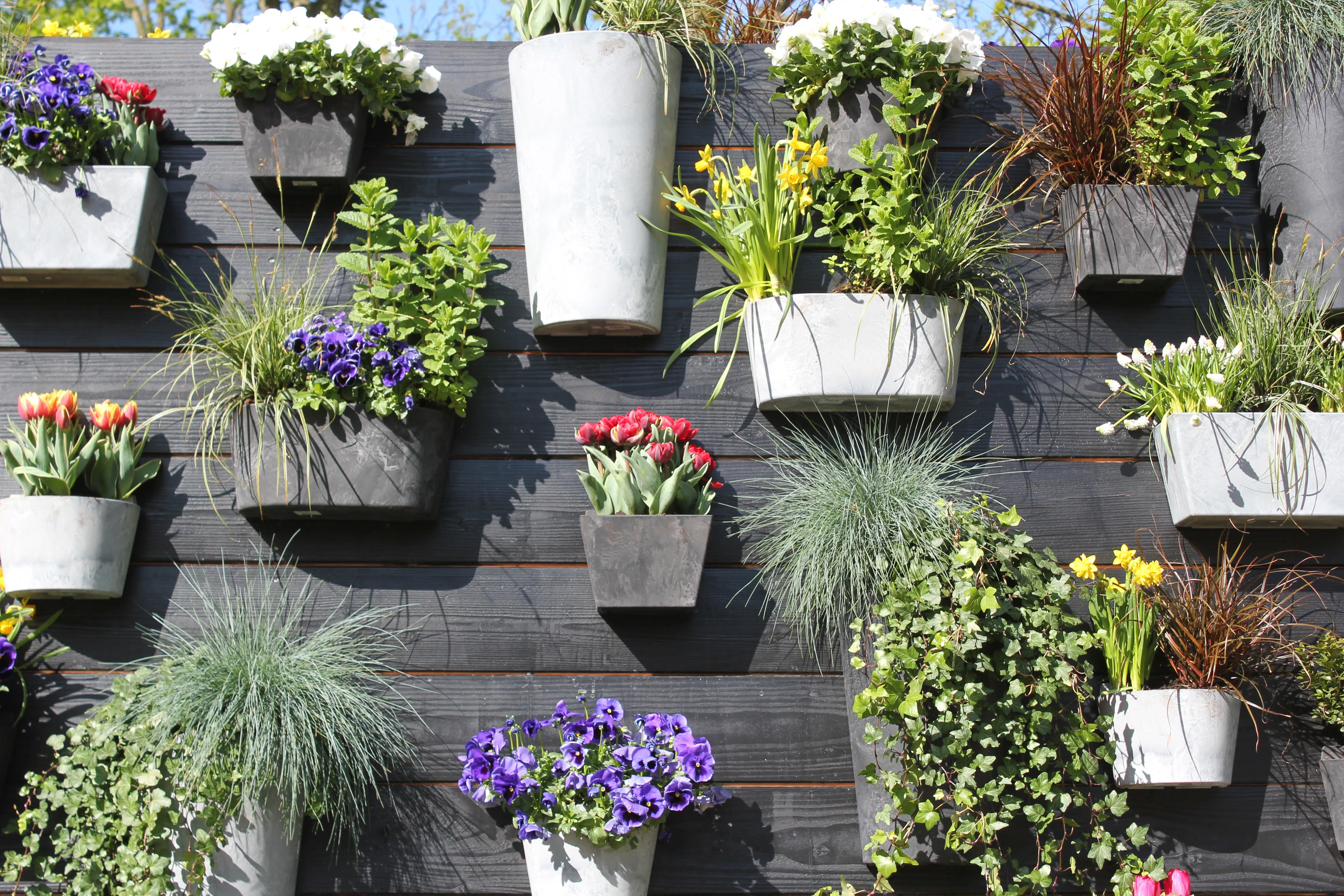 porte-plante