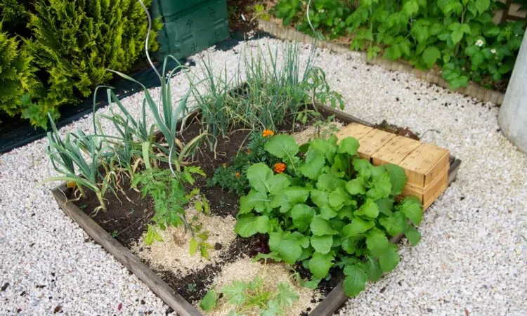 potager en carré