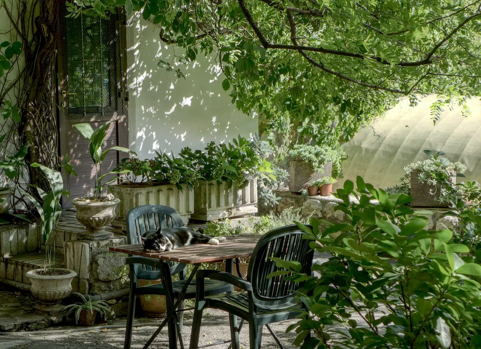 DIY : Comment construire des meubles en bois son jardin ?