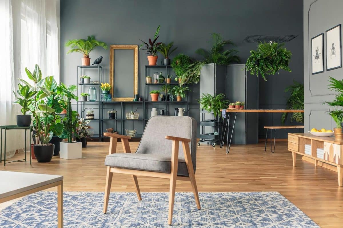 potager intérieur 