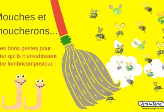 vers de terre